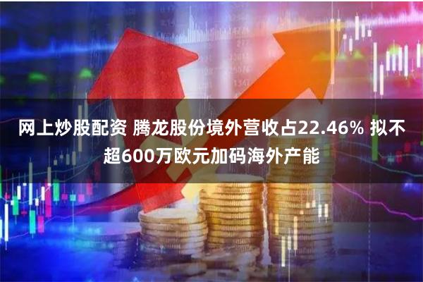 网上炒股配资 腾龙股份境外营收占22.46% 拟不超600万欧元加码海外产能